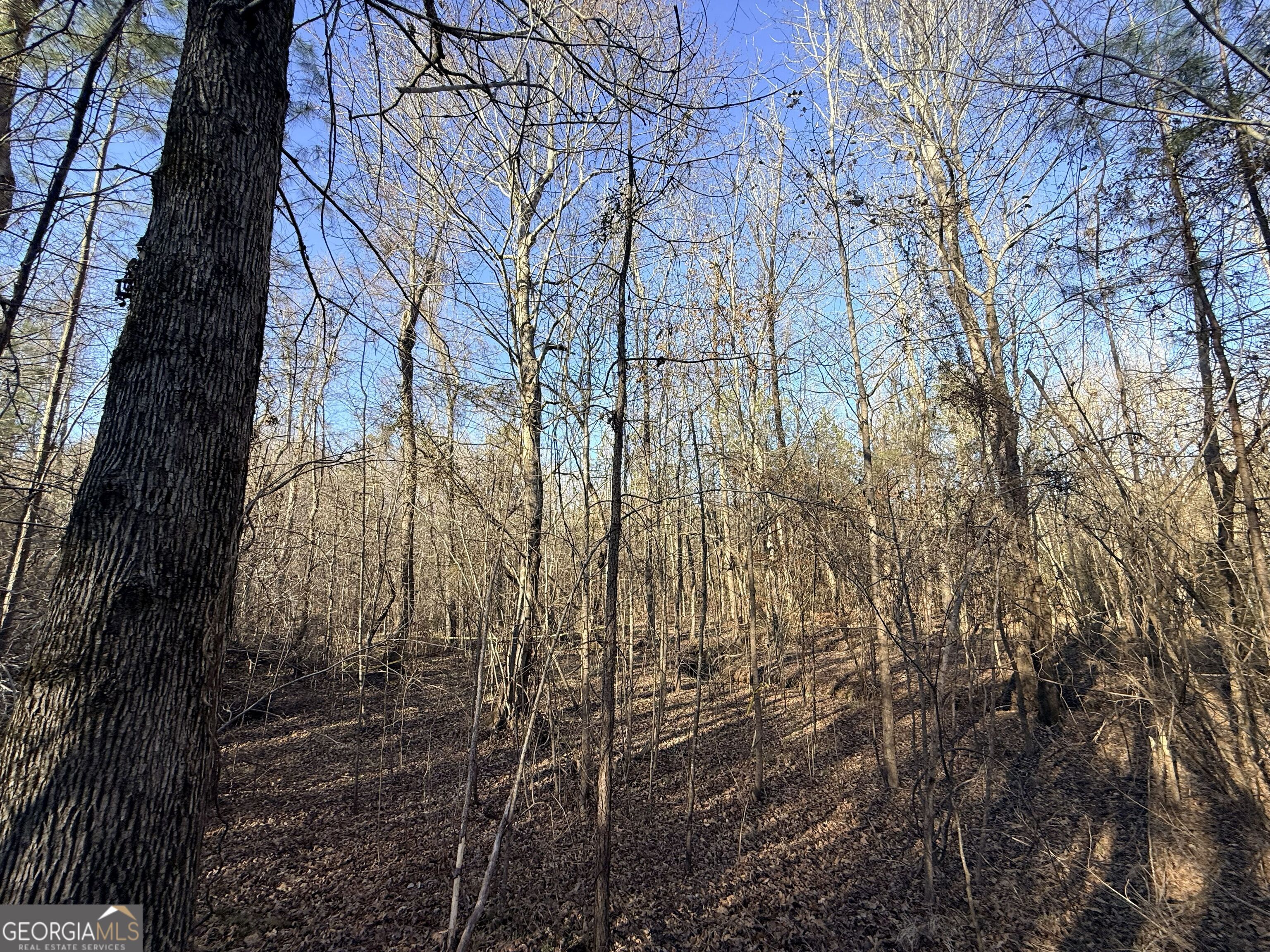 4 Bunch Road Tignall GA 30668