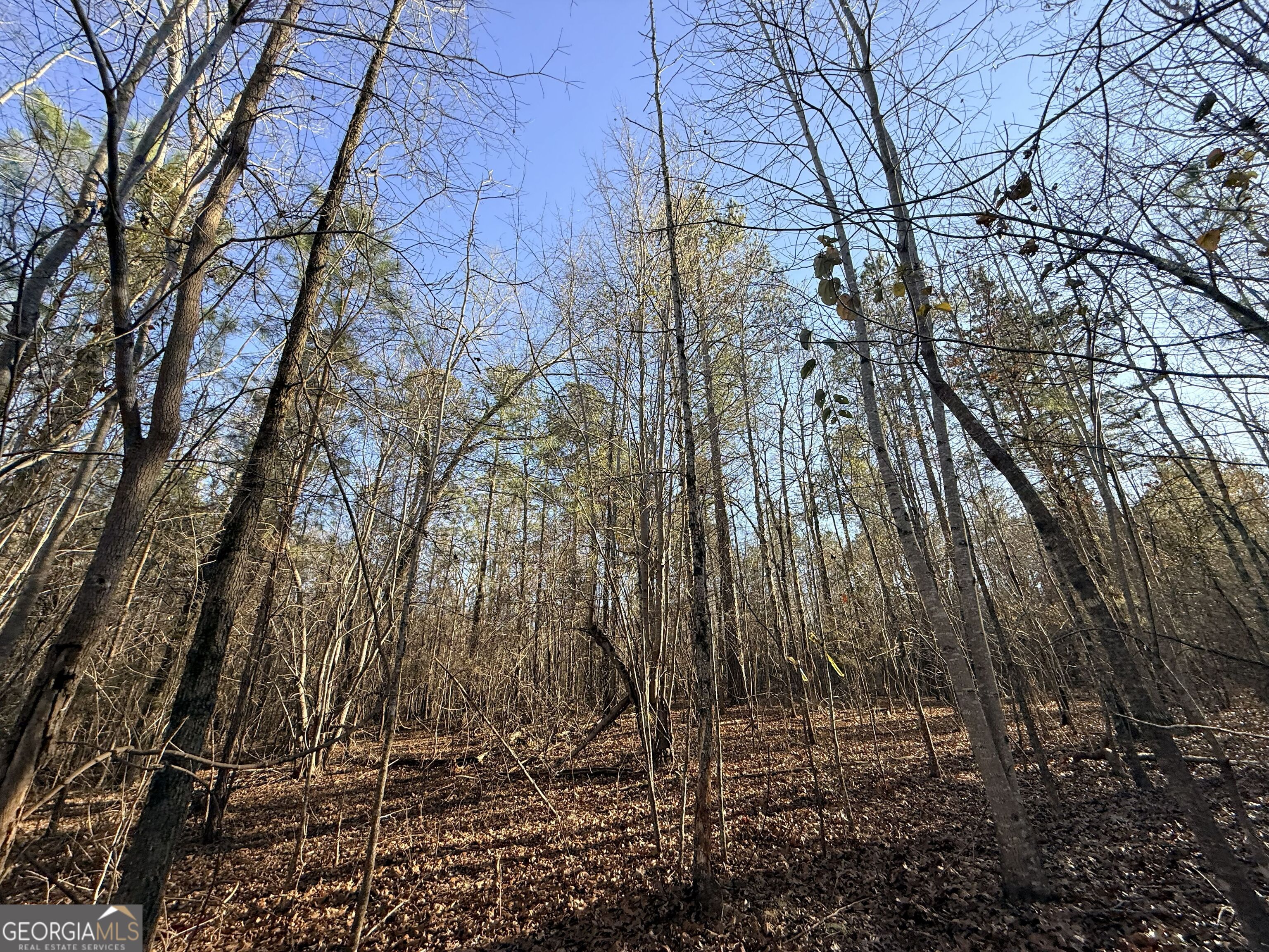 4 Bunch Road Tignall GA 30668