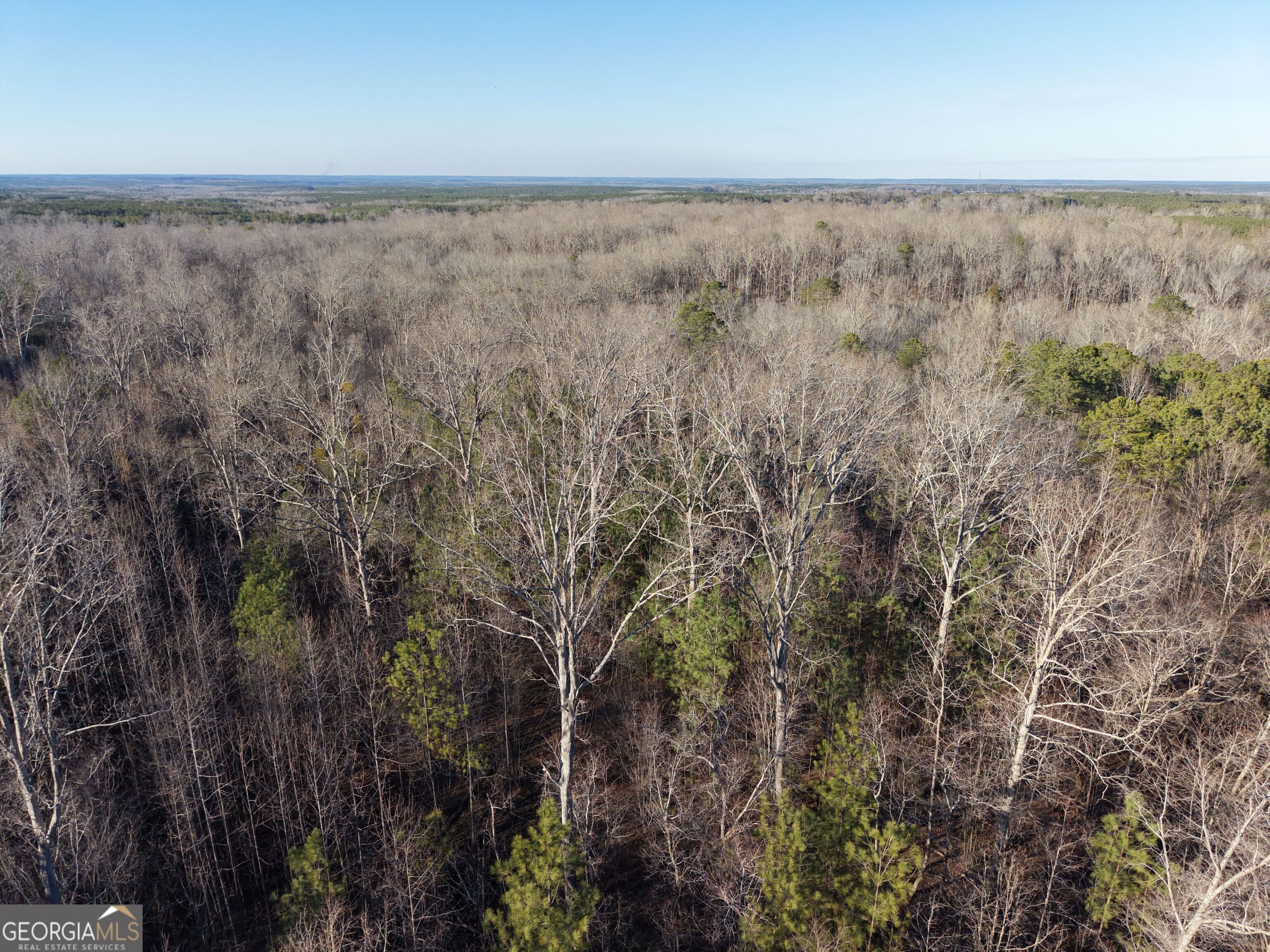 4 Bunch Road Tignall GA 30668