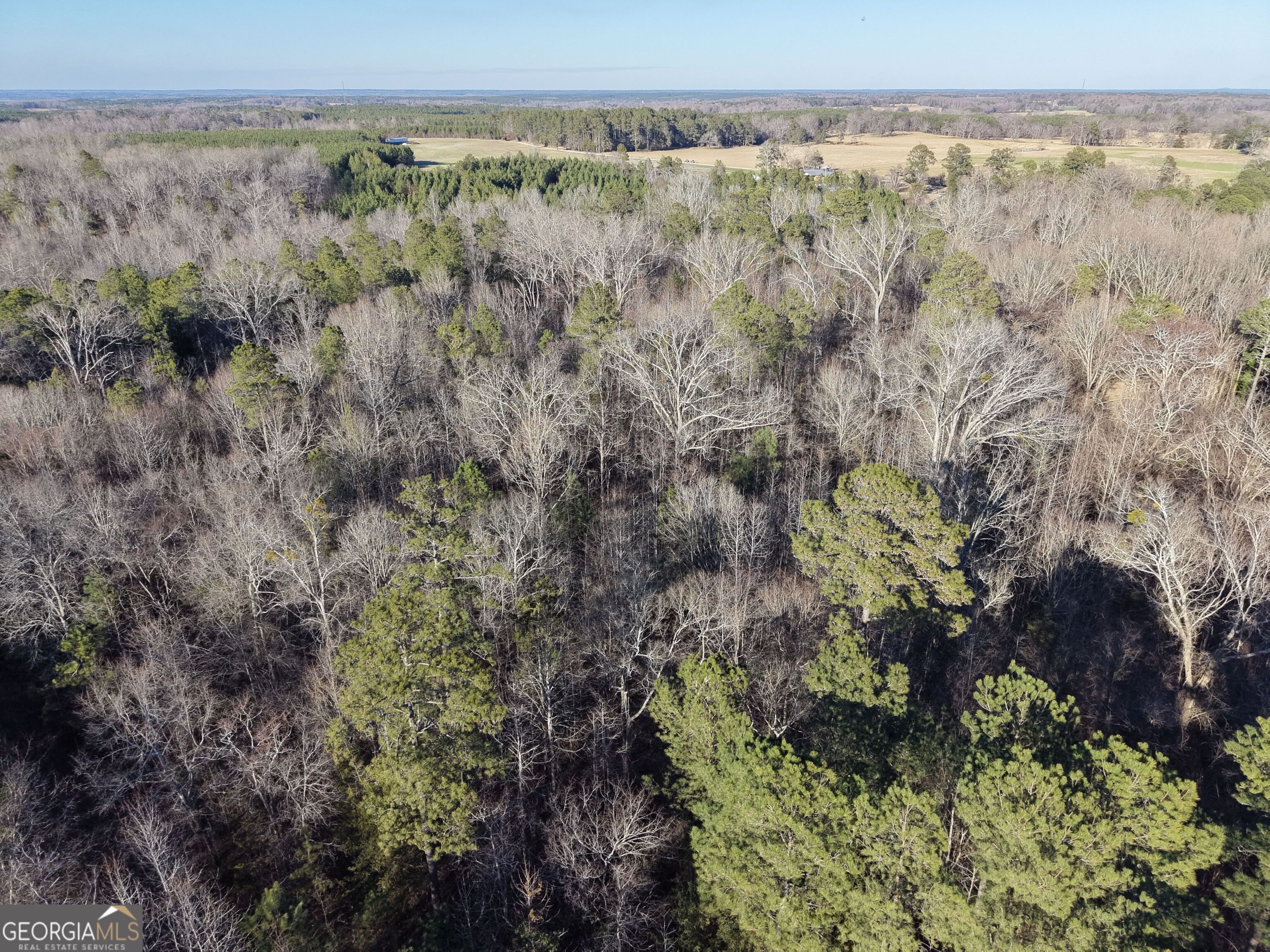 4 Bunch Road Tignall GA 30668