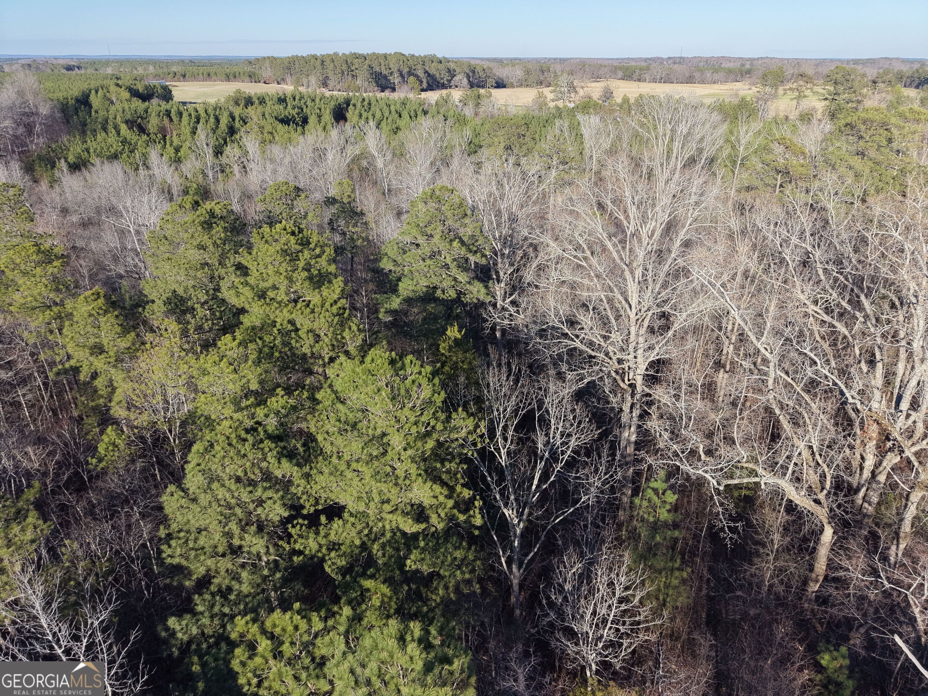 4 Bunch Road Tignall GA 30668
