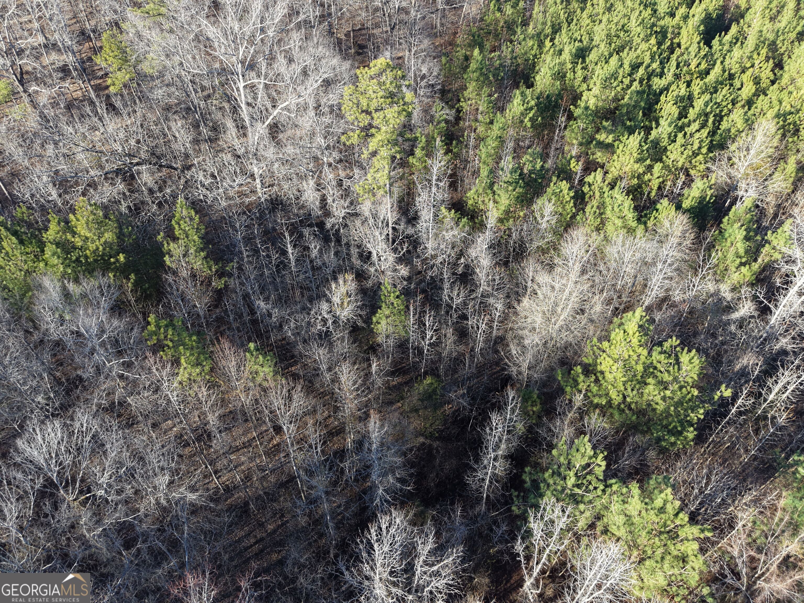4 Bunch Road Tignall GA 30668