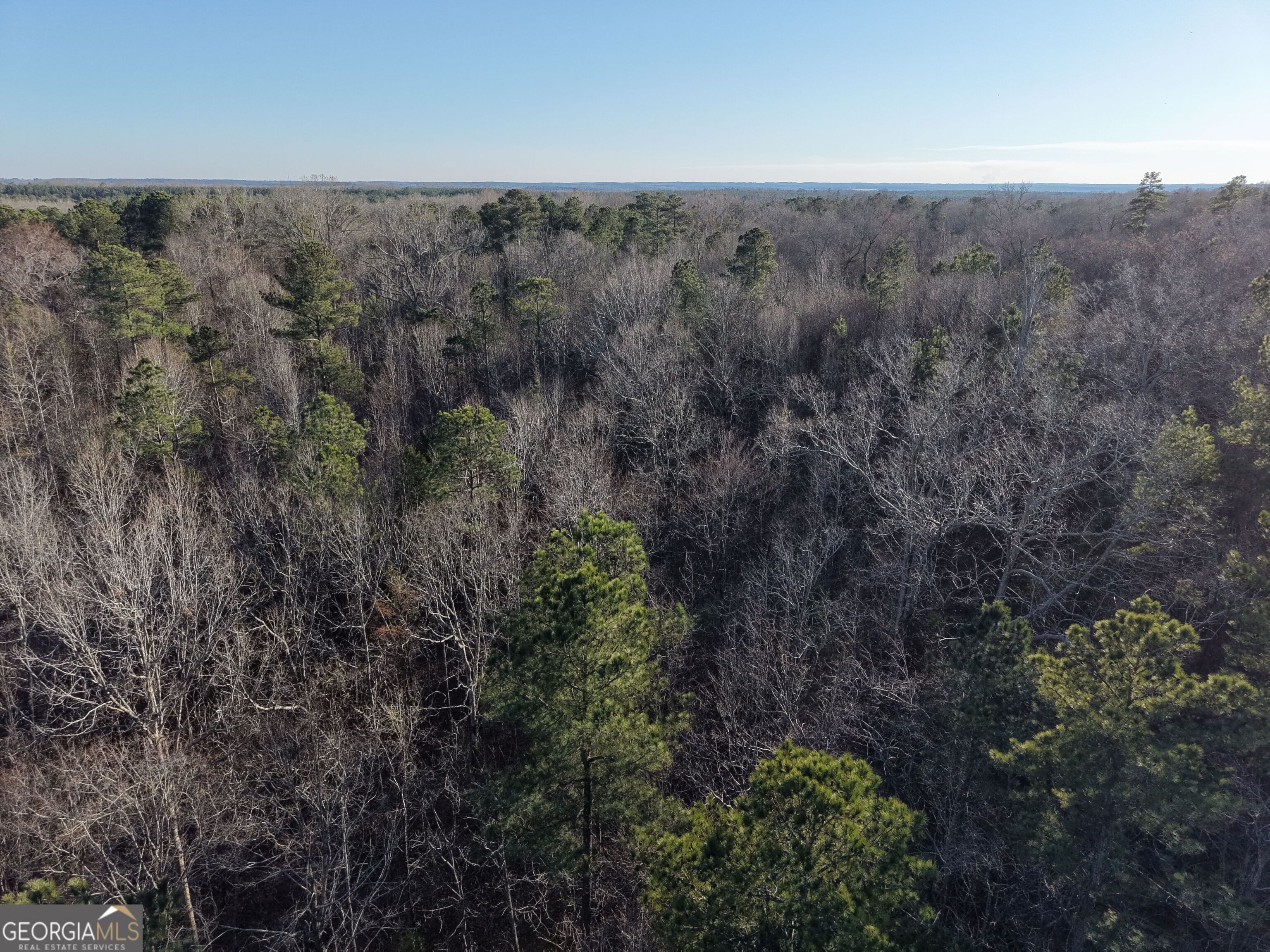 4 Bunch Road Tignall GA 30668
