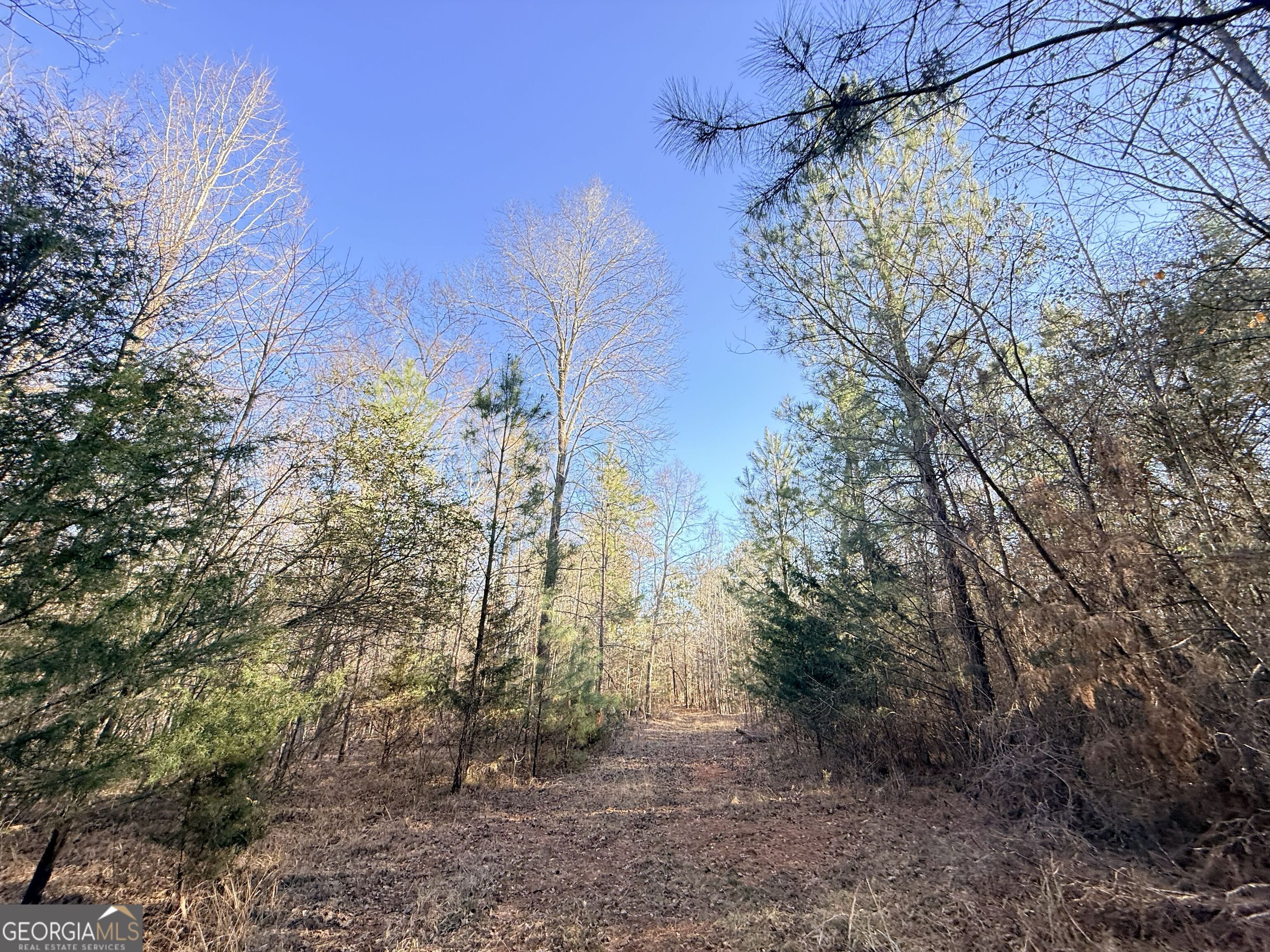 4 Bunch Road Tignall GA 30668