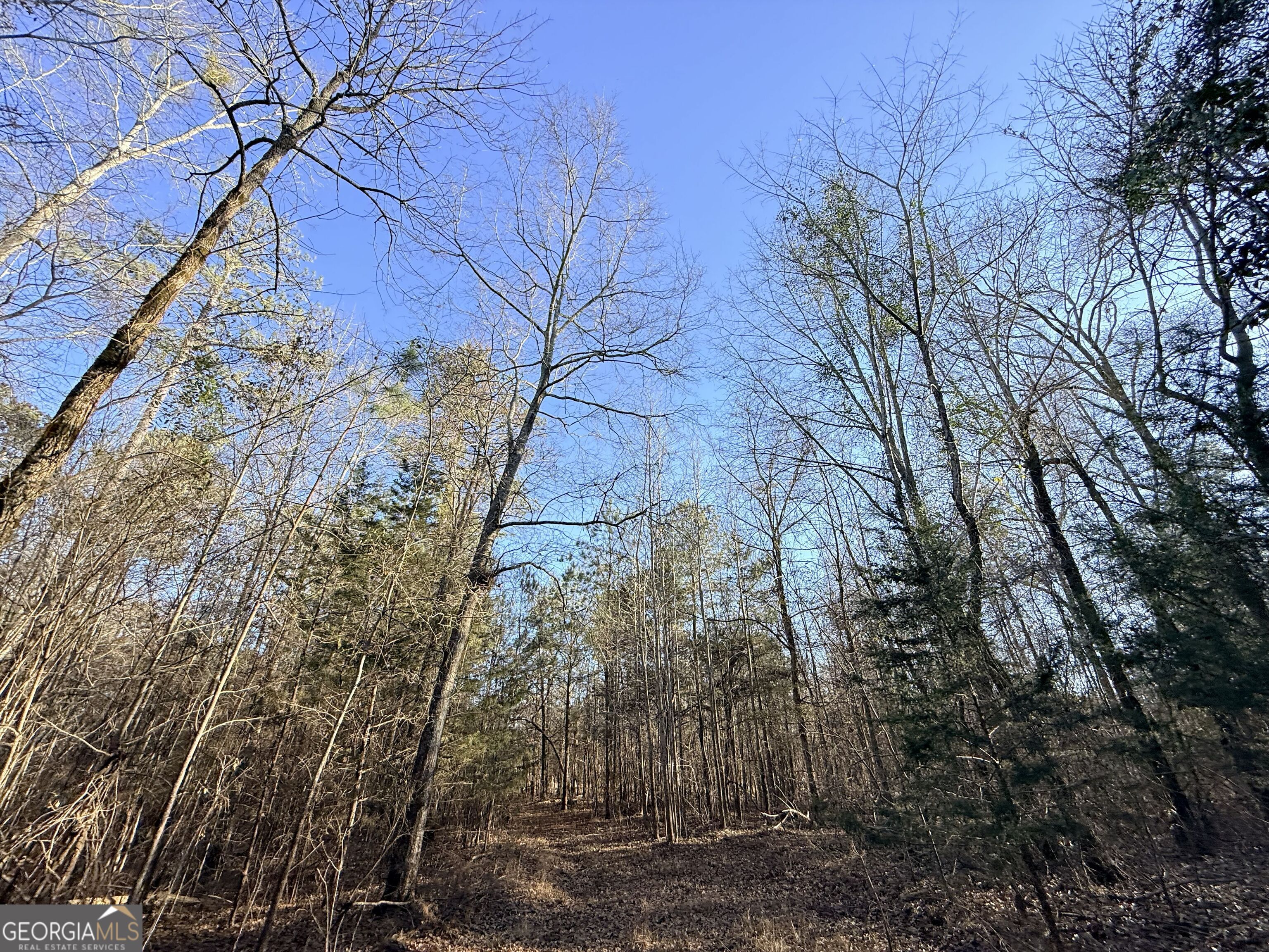 4 Bunch Road Tignall GA 30668
