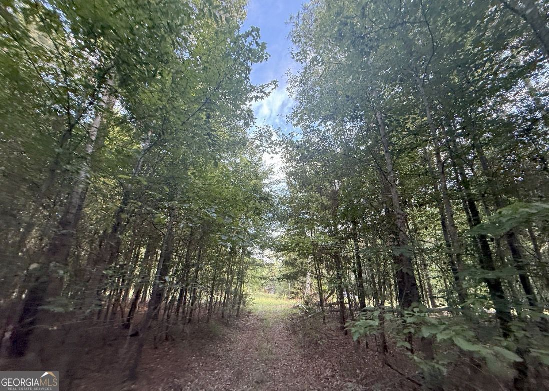 4 Bunch Road Tignall GA 30668