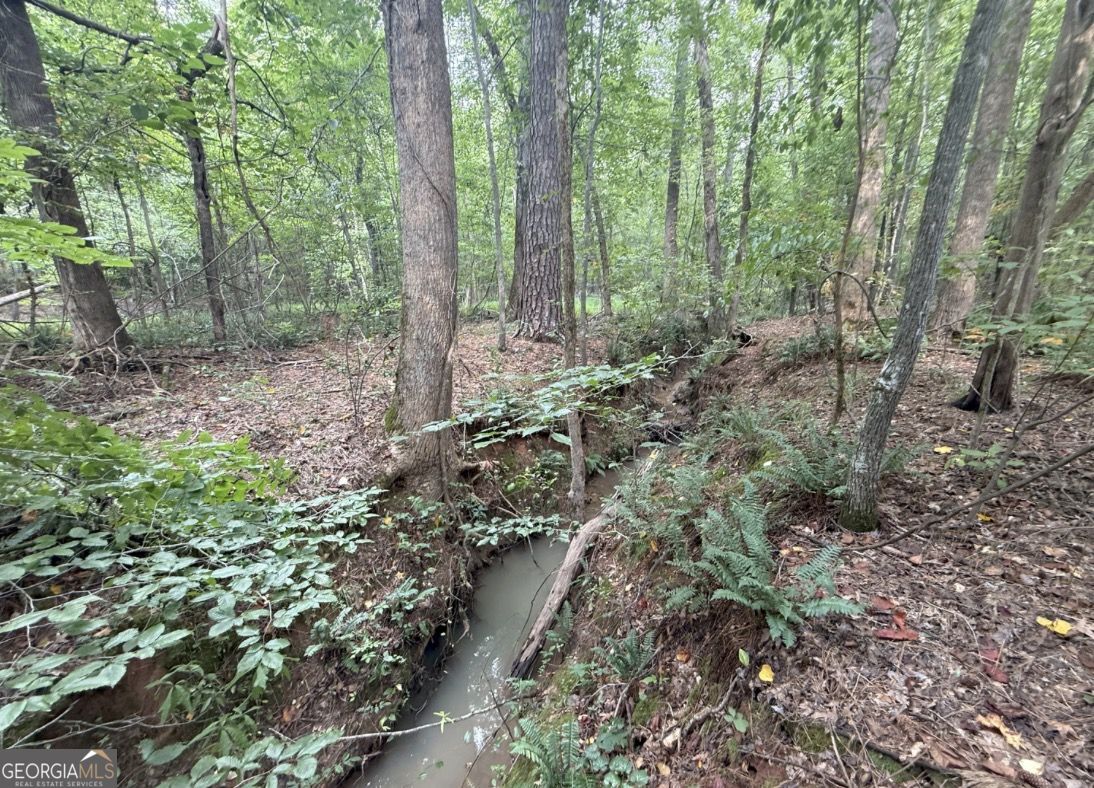 4 Bunch Road Tignall GA 30668