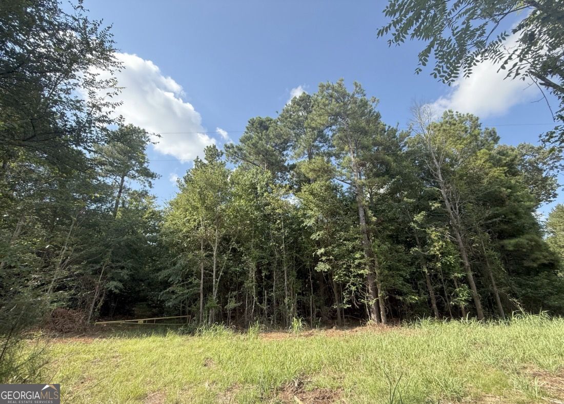 4 Bunch Road Tignall GA 30668