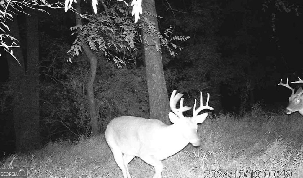 4 Bunch Road Tignall GA 30668