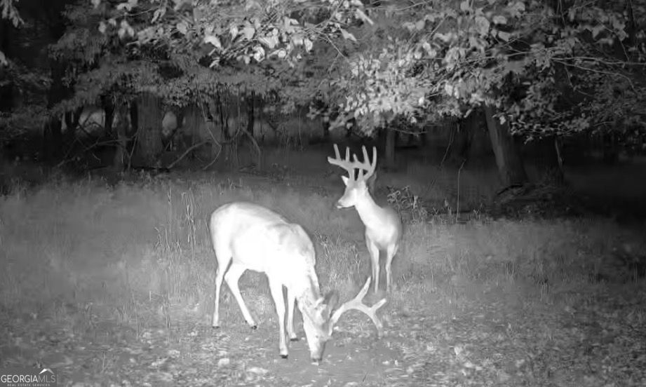 4 Bunch Road Tignall GA 30668