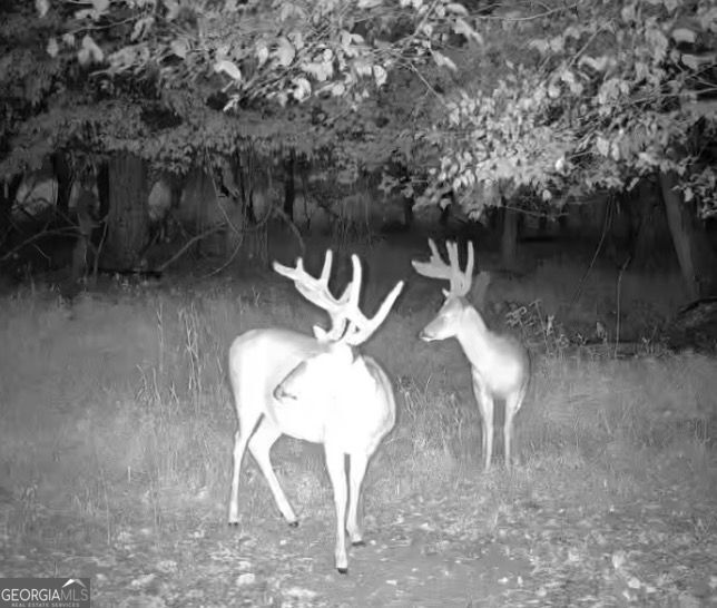 4 Bunch Road Tignall GA 30668