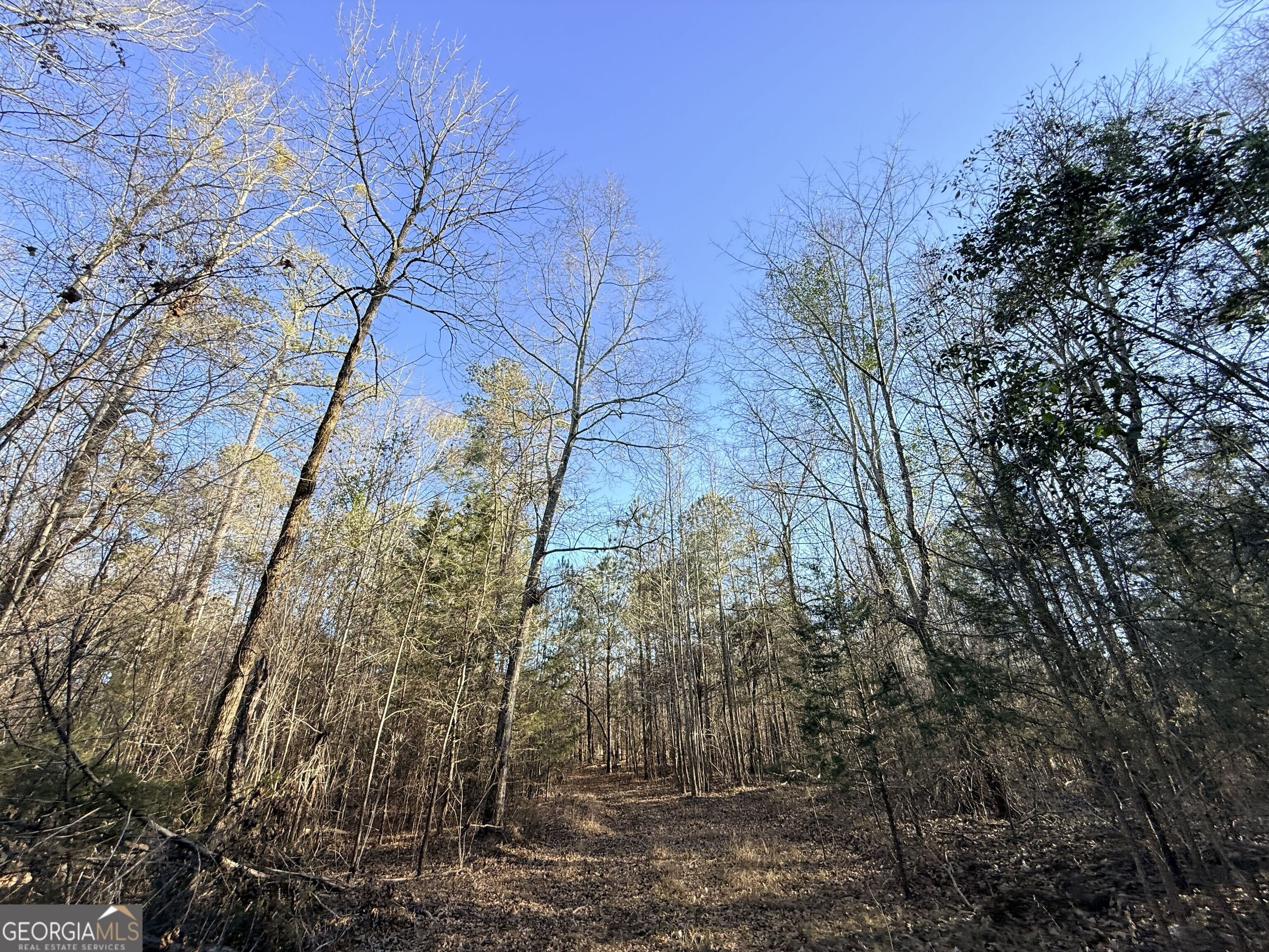 4 Bunch Road Tignall GA 30668