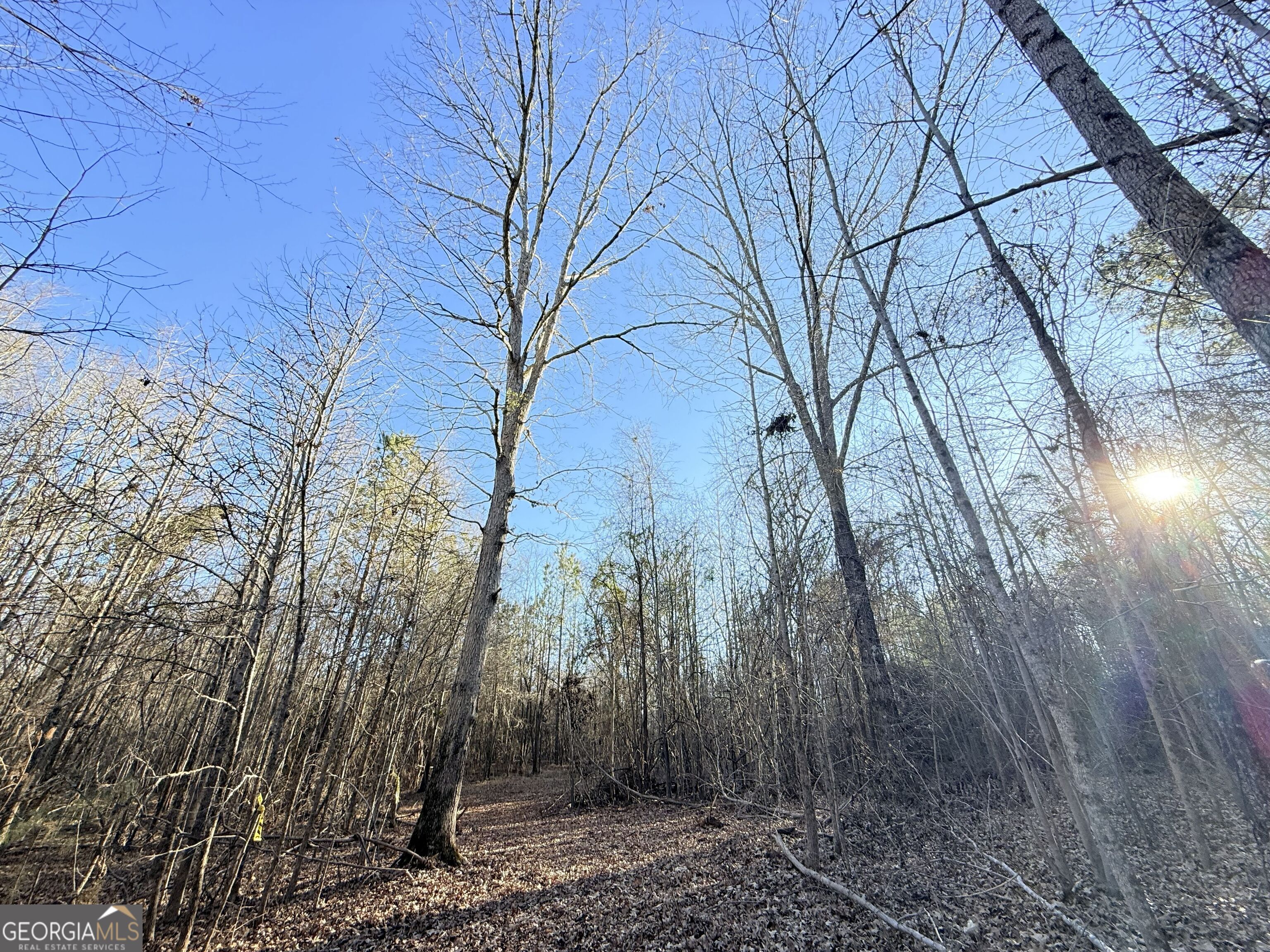 4 Bunch Road Tignall GA 30668