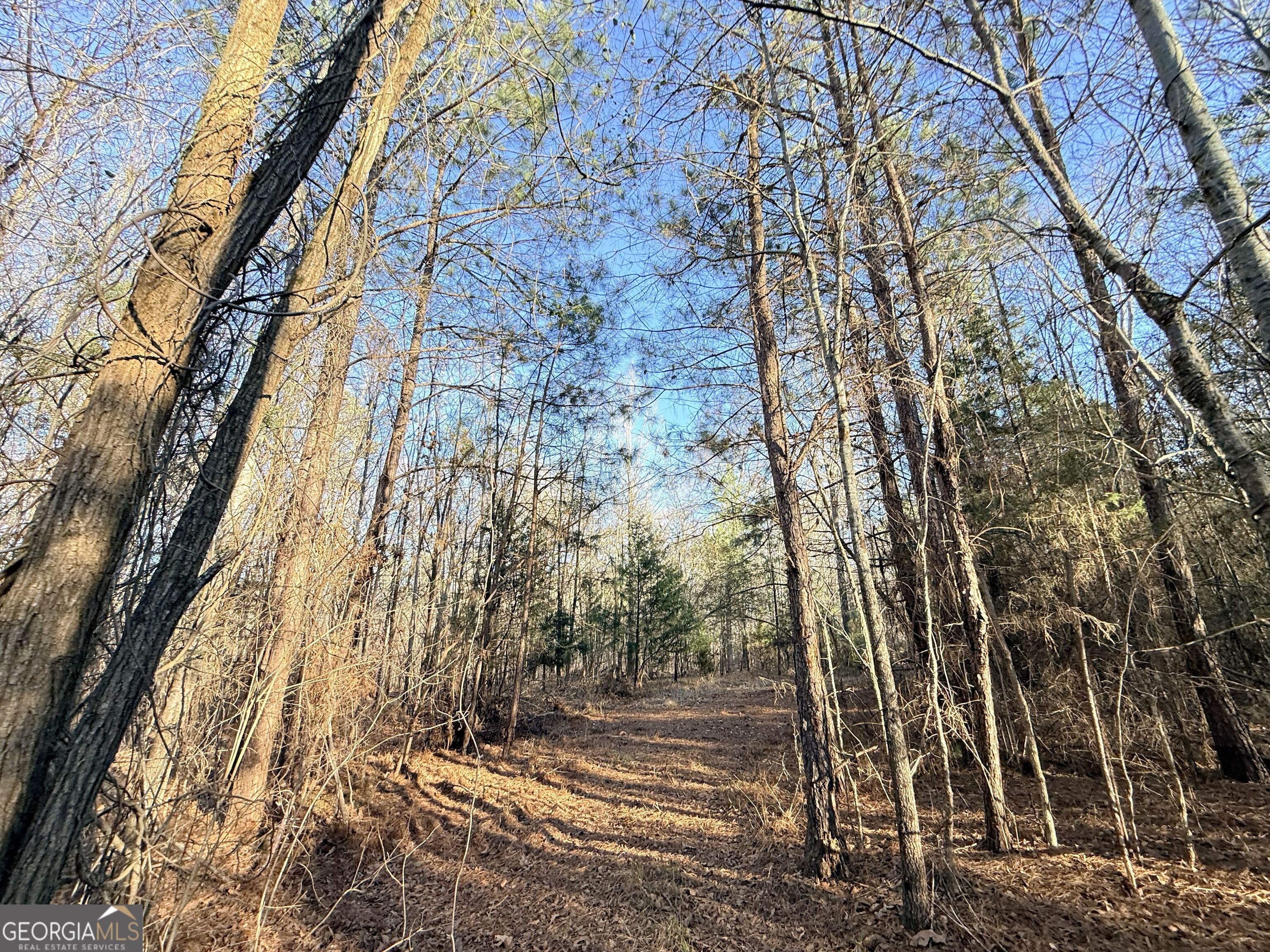 4 Bunch Road Tignall GA 30668