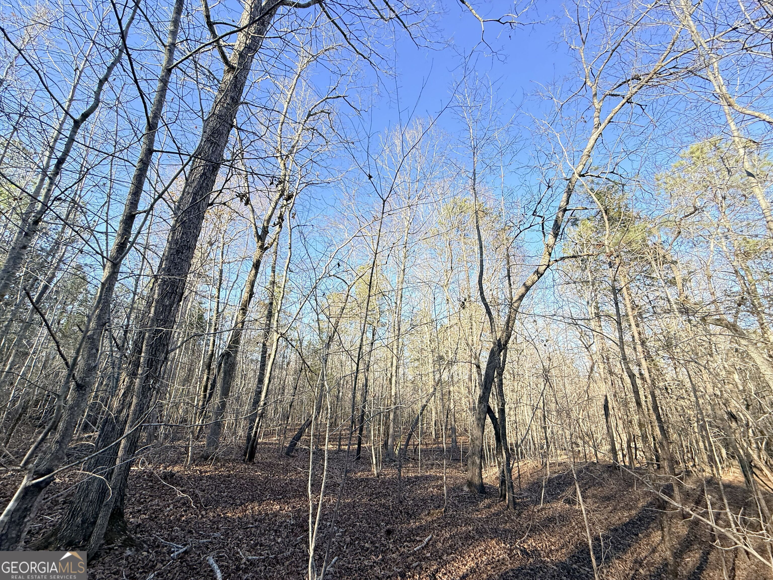 4 Bunch Road Tignall GA 30668