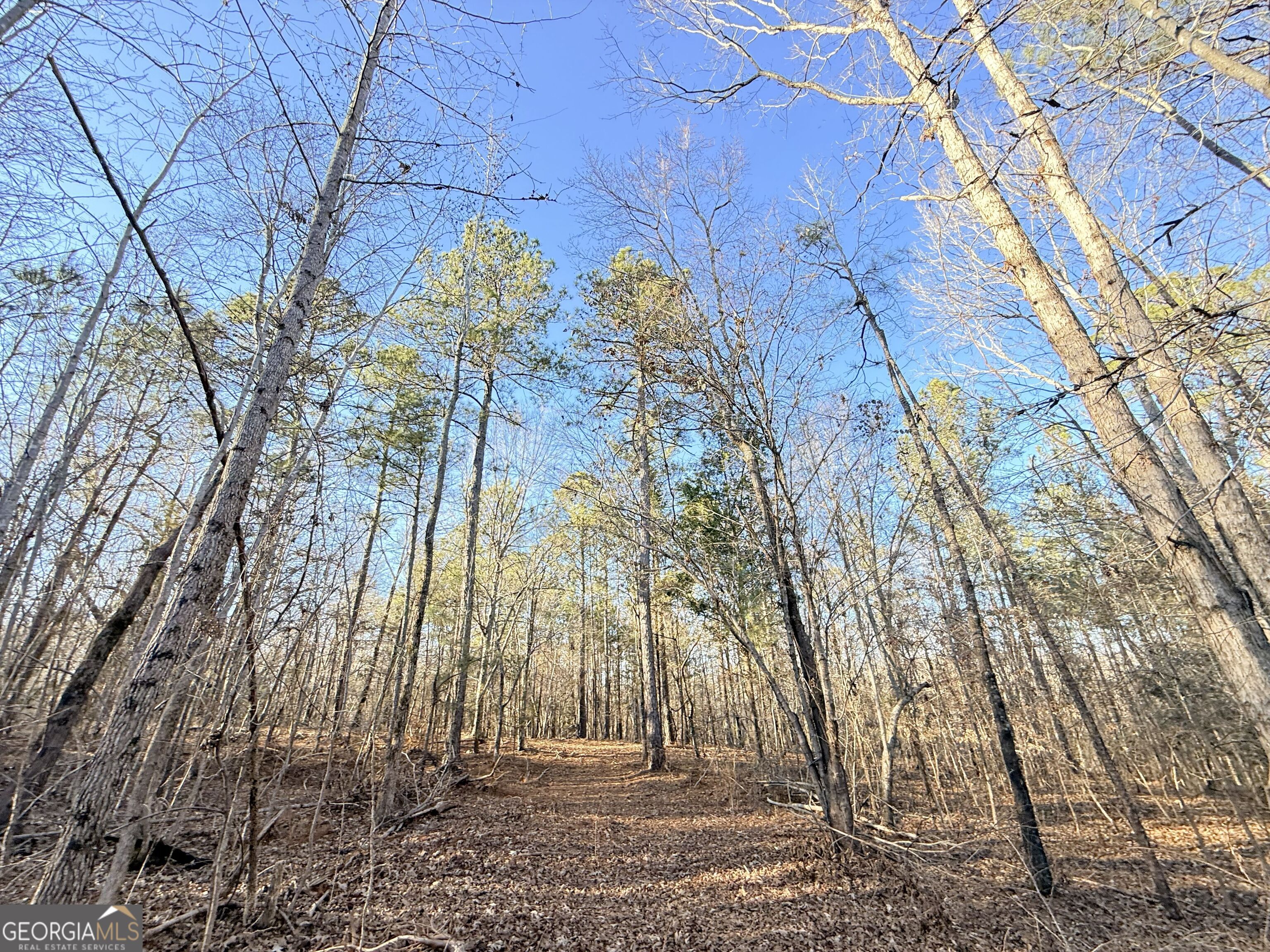 4 Bunch Road Tignall GA 30668