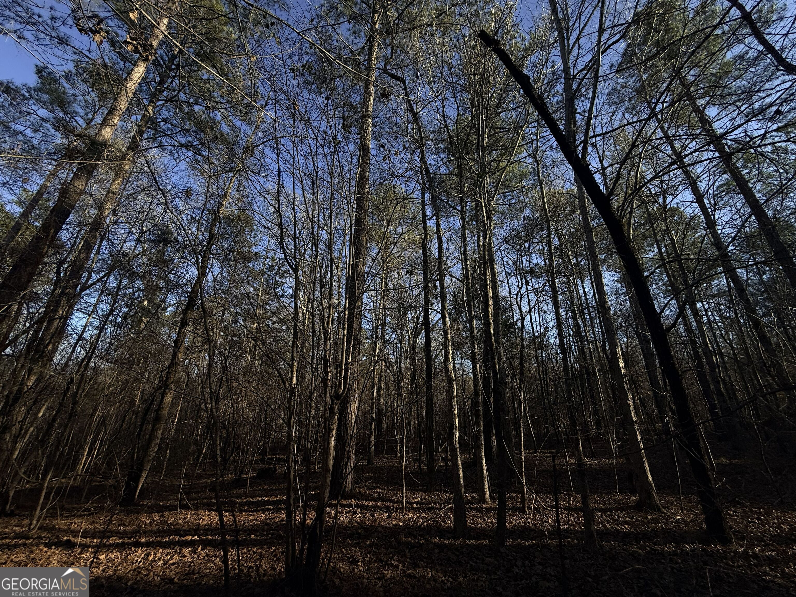 4 Bunch Road Tignall GA 30668