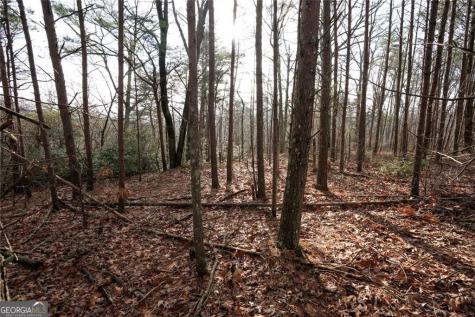 1 Amber Court Jasper GA 30143