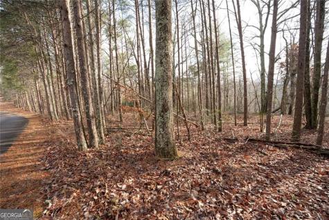 1 Amber Court Jasper GA 30143