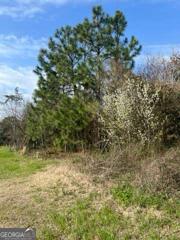 367 Pine Street Unadilla GA 31091