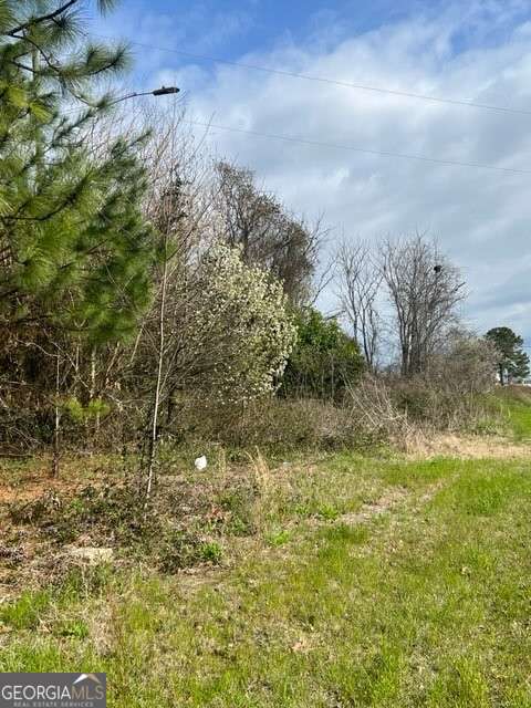 367 Pine Street Unadilla GA 31091