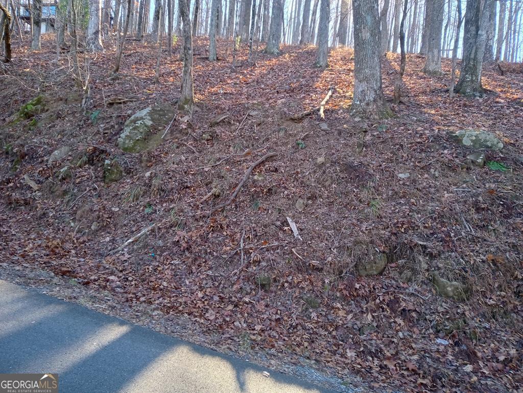 Lt M214 Walnut Ridge Ellijay GA 30536