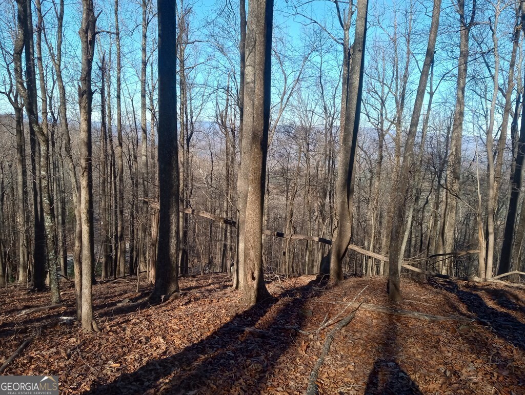Lt M214 Walnut Ridge Ellijay GA 30536
