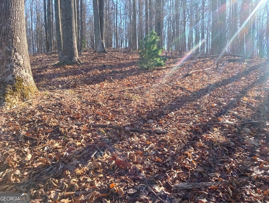 Lt M214 Walnut Ridge Ellijay GA 30536