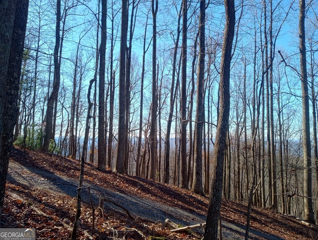 Lt M214 Walnut Ridge Ellijay GA 30536