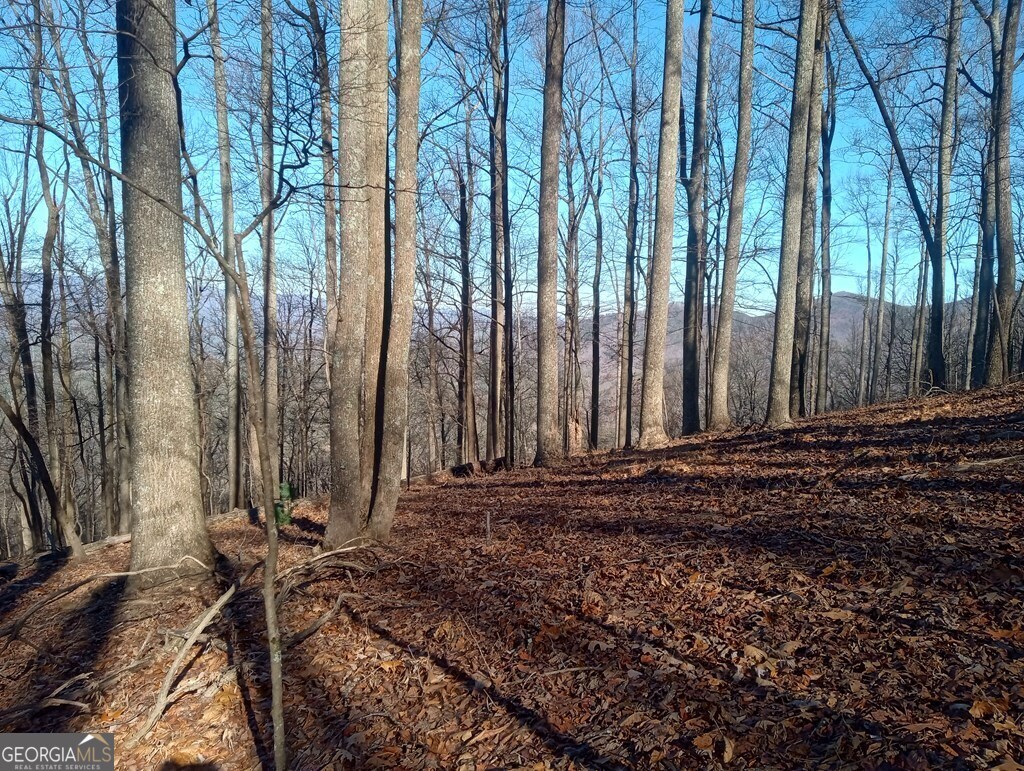 Lt M214 Walnut Ridge Ellijay GA 30536