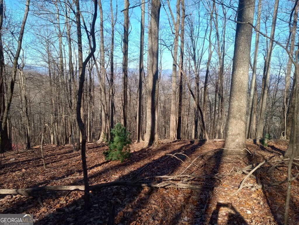 Lt M214 Walnut Ridge Ellijay GA 30536
