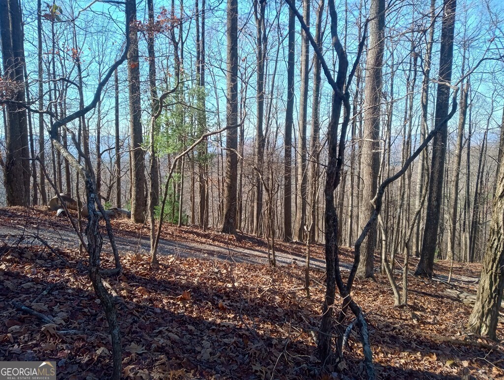 Lt M214 Walnut Ridge Ellijay GA 30536