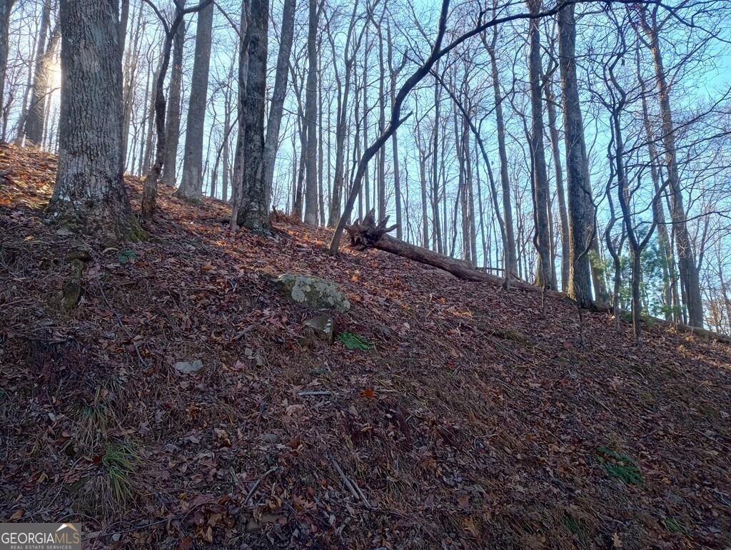 Lt M214 Walnut Ridge Ellijay GA 30536