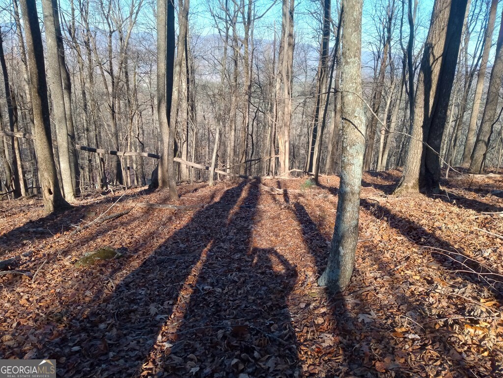 Lt M214 Walnut Ridge Ellijay GA 30536