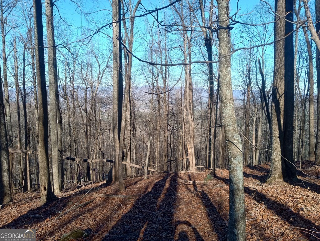 Lt M214 Walnut Ridge Ellijay GA 30536