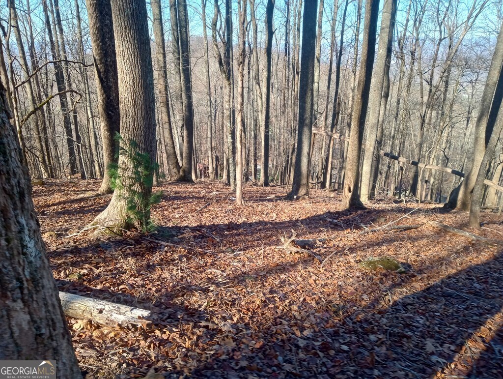 Lt M214 Walnut Ridge Ellijay GA 30536