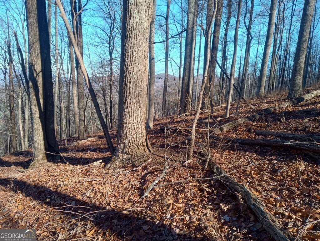 Lt M214 Walnut Ridge Ellijay GA 30536