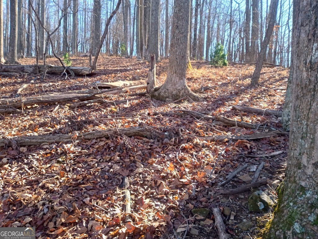 Lt M214 Walnut Ridge Ellijay GA 30536