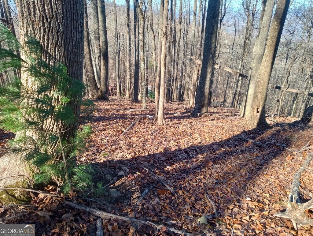Lt M214 Walnut Ridge Ellijay GA 30536