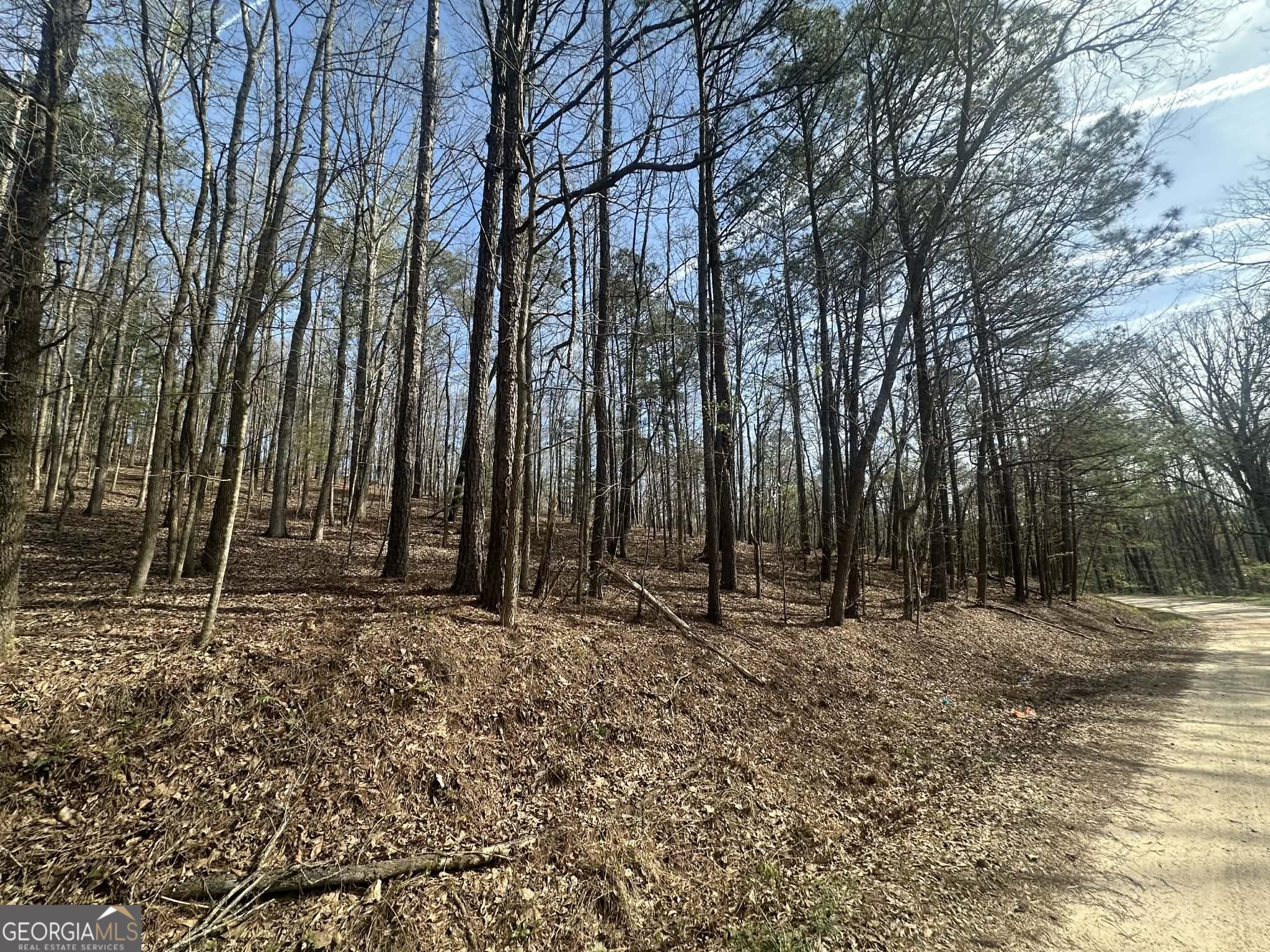 134 Bankston Road Meansville GA 30256