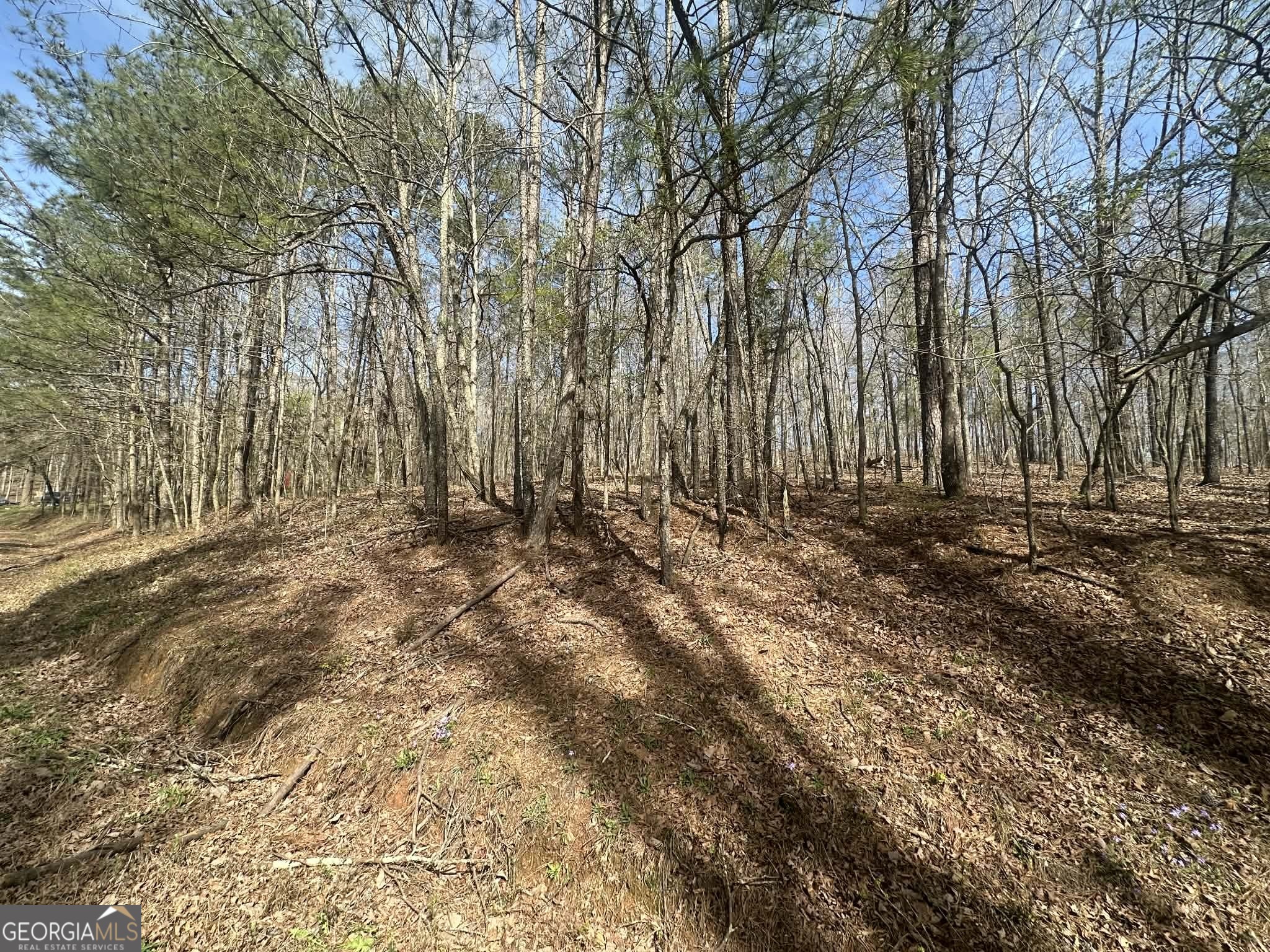 134 Bankston Road Meansville GA 30256