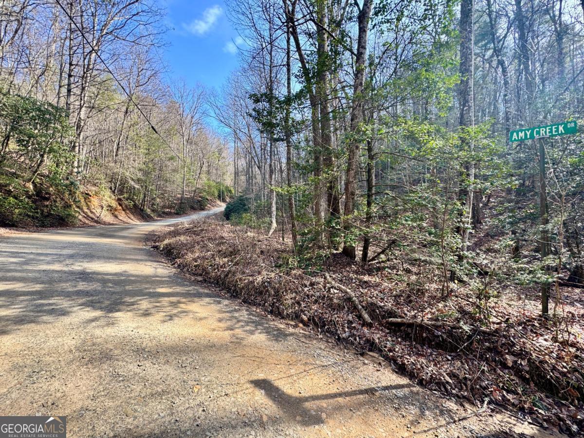 L53 Amy Creek Circle Ellijay GA 30540