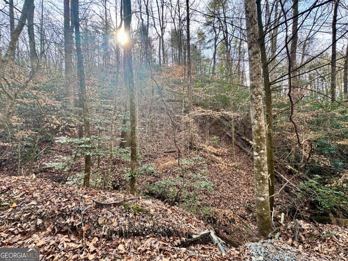 L53 Amy Creek Circle Ellijay GA 30540