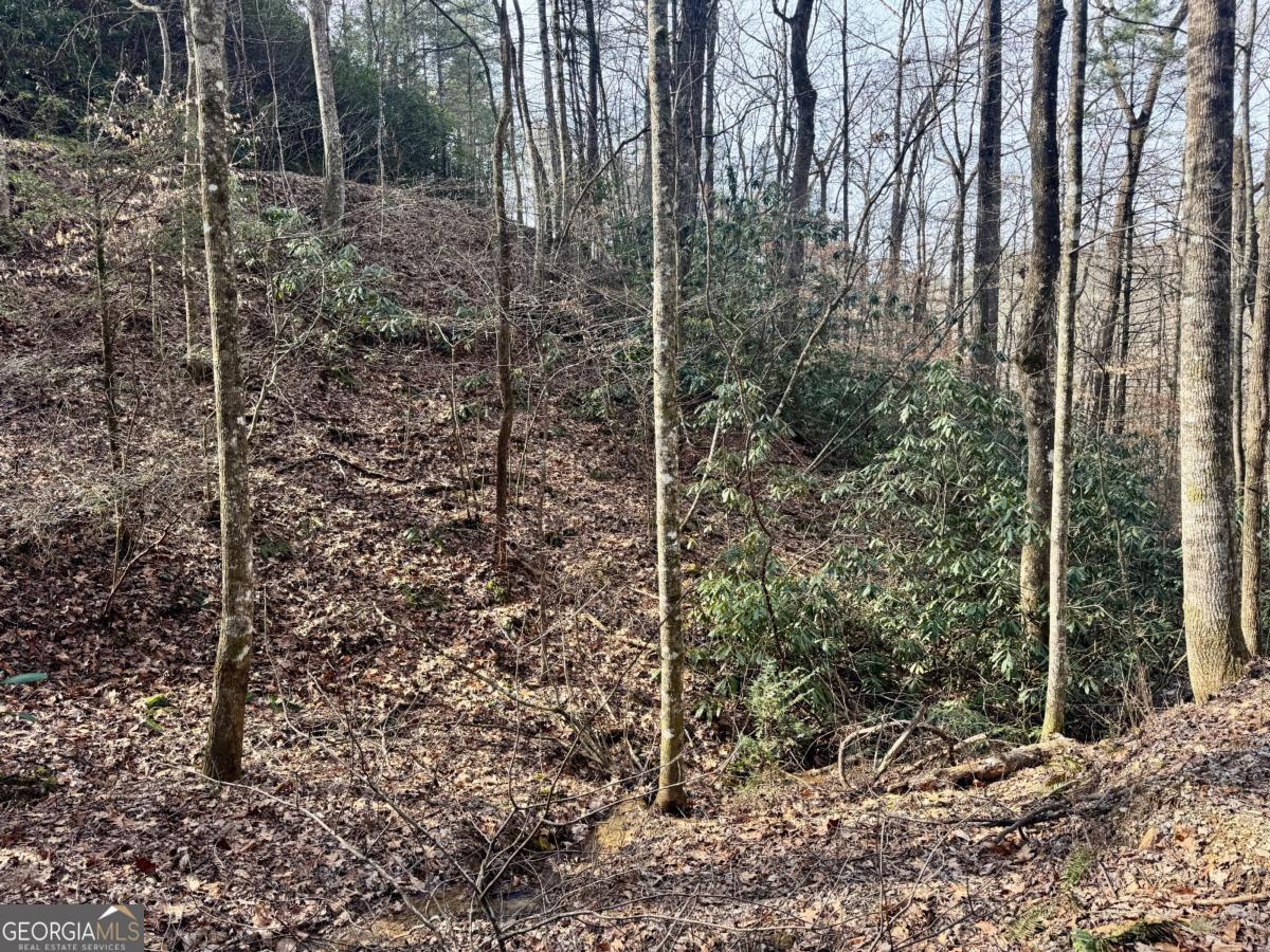 L53 Amy Creek Circle Ellijay GA 30540