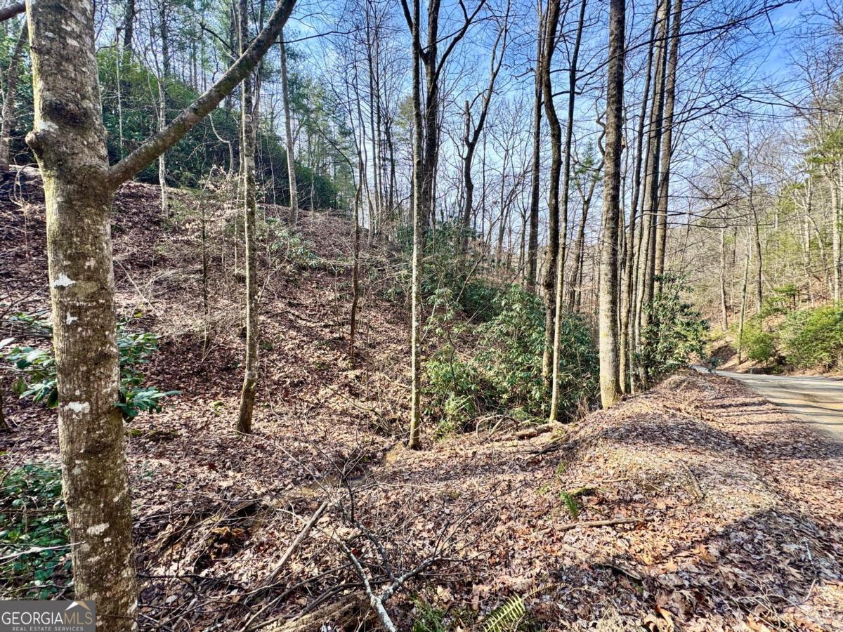 L53 Amy Creek Circle Ellijay GA 30540