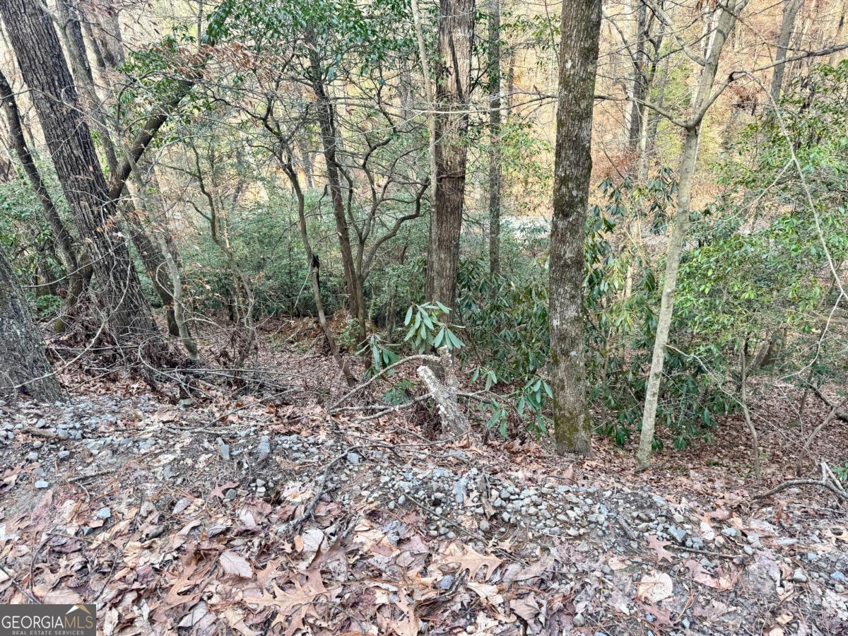 L53 Amy Creek Circle Ellijay GA 30540