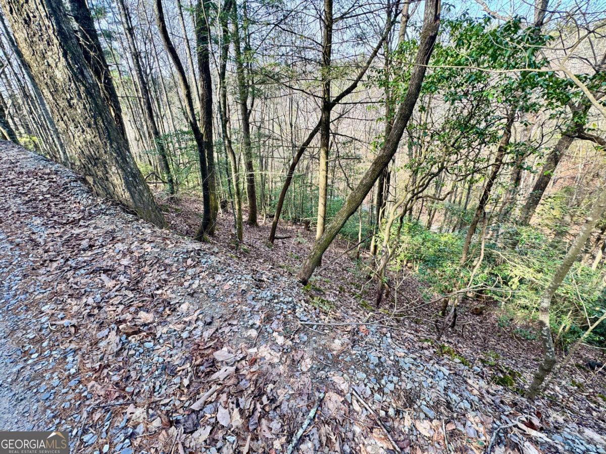 L53 Amy Creek Circle Ellijay GA 30540