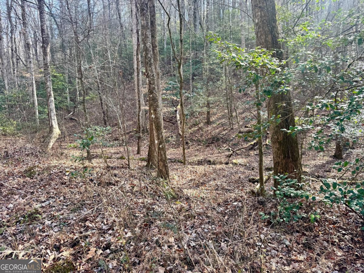 L53 Amy Creek Circle Ellijay GA 30540