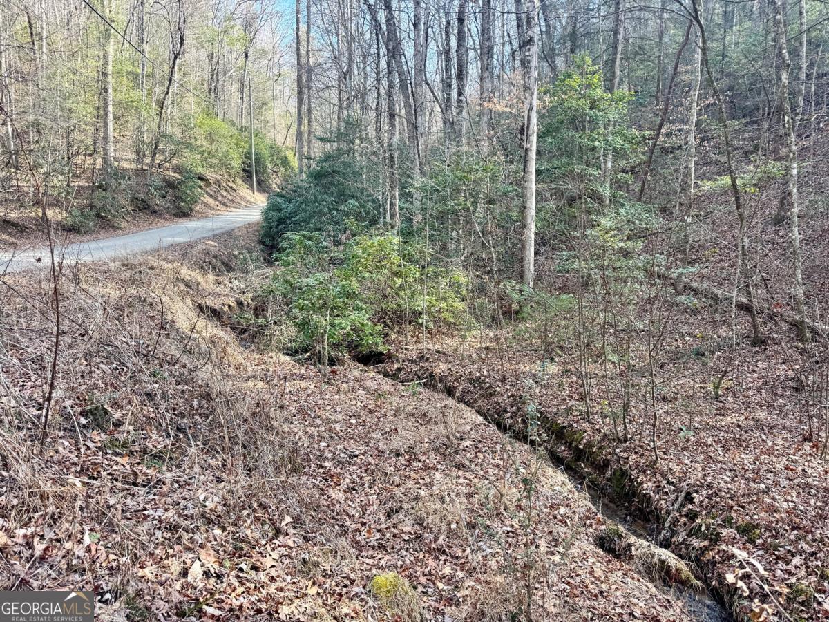 L53 Amy Creek Circle Ellijay GA 30540