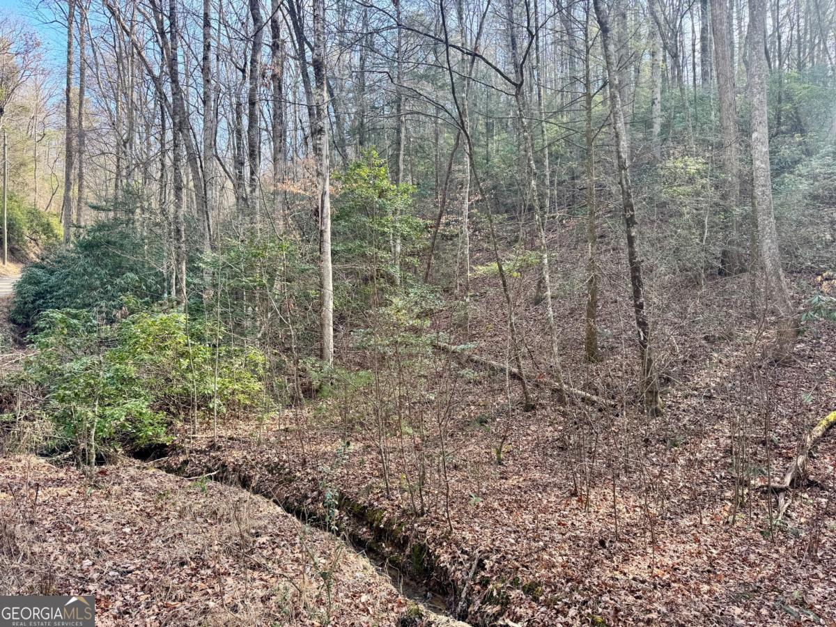 L53 Amy Creek Circle Ellijay GA 30540